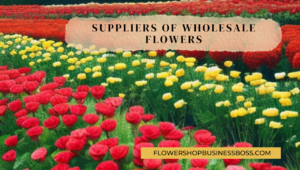 Suppliers of wholesale flowers