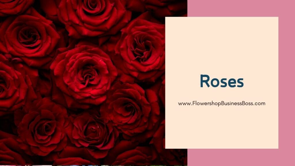 Charm in Bloom: Exploring the Timeless Elegance of Popular Flower Shop Blooms