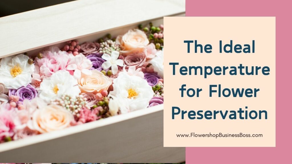 Chill Vibes Only: The Art of Flower Preservation Through Temperature Control