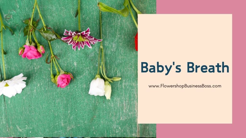 Floral Couture: Elevating Floral Arrangements with the Best Filler Flowers