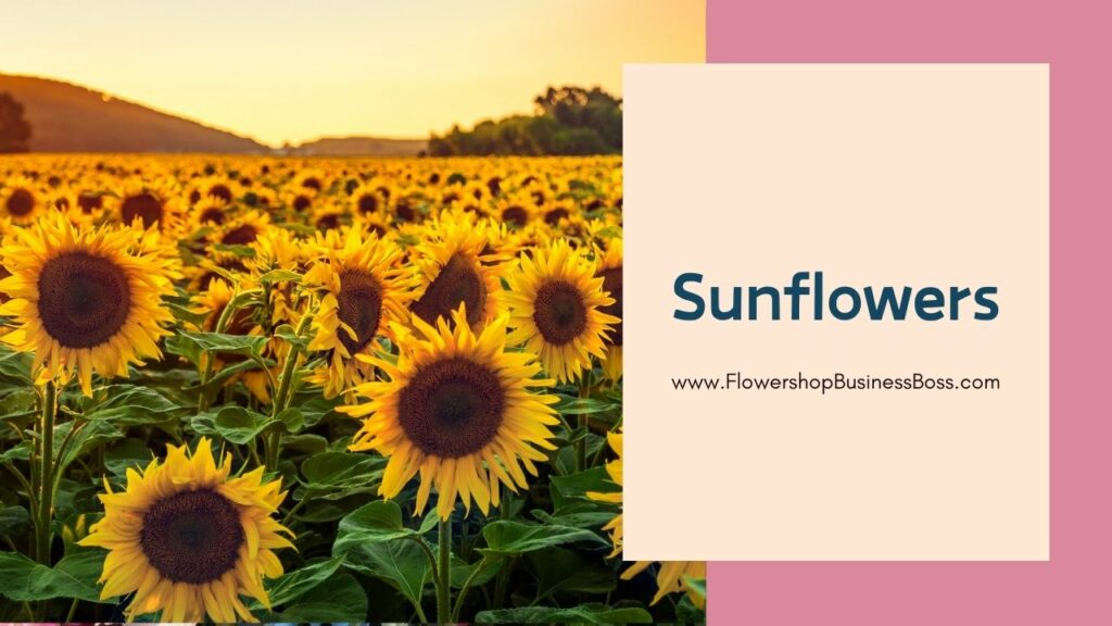 A Blooming Symphony: Exploring the Beauty and Symbolism of Popular Bouquet Flowers
