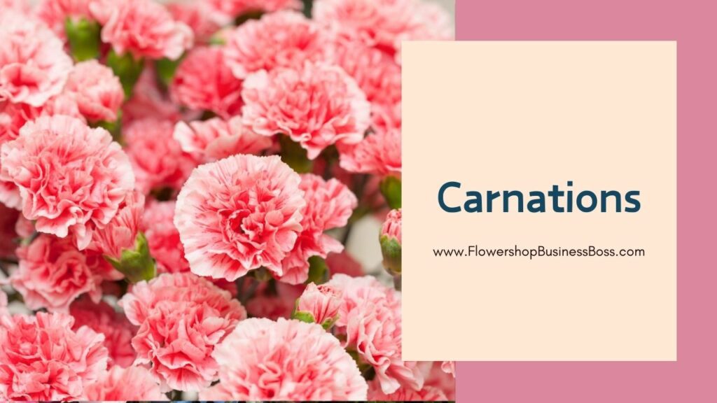 Charm in Bloom: Exploring the Timeless Elegance of Popular Flower Shop Blooms