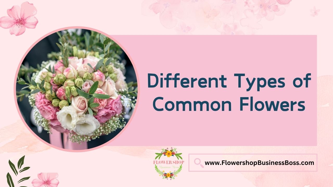 Different Types of Common Flowers