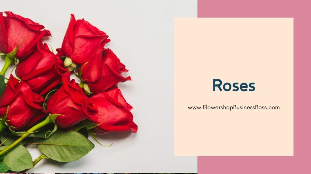 Different Types of Common Flowers