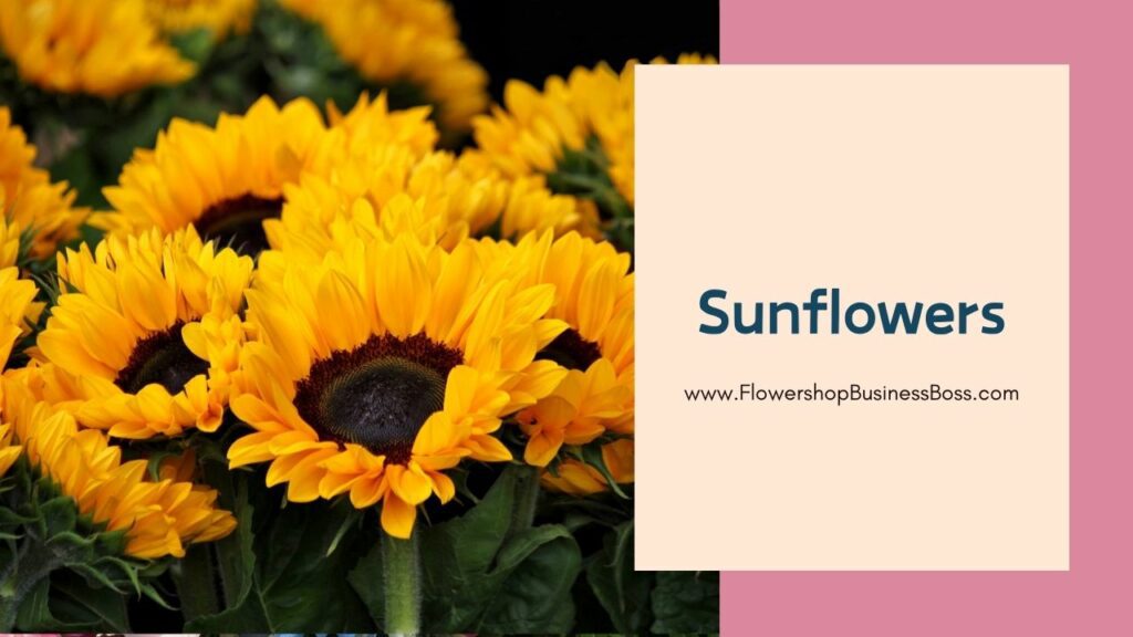 Different Types of Common Flowers