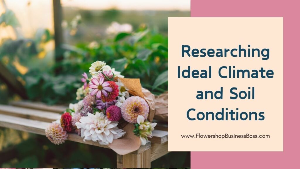How to Start Your Flower Farm