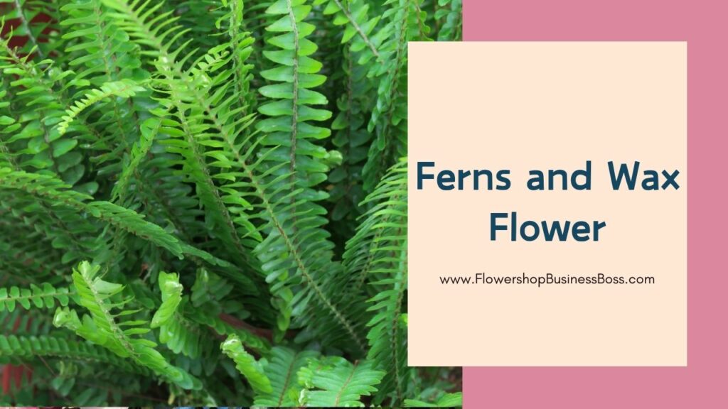 Greenery in Floral Designs