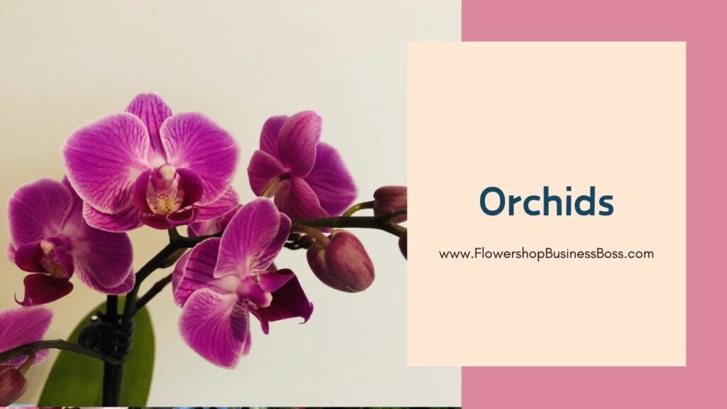 How to Pick Wholesale