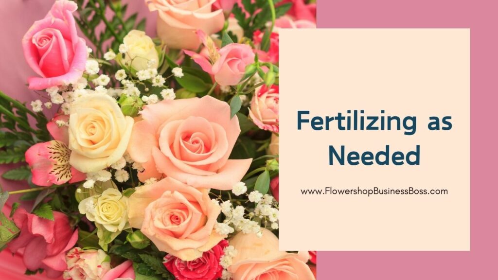 How to Start Your Flower Garden