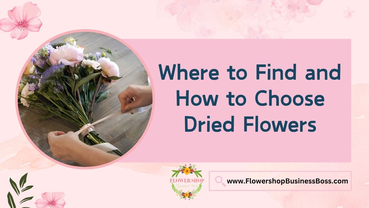 Where to Find and How to Choose Dried Flowers